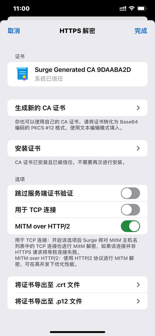 photo_2022-11-16_11-00-27