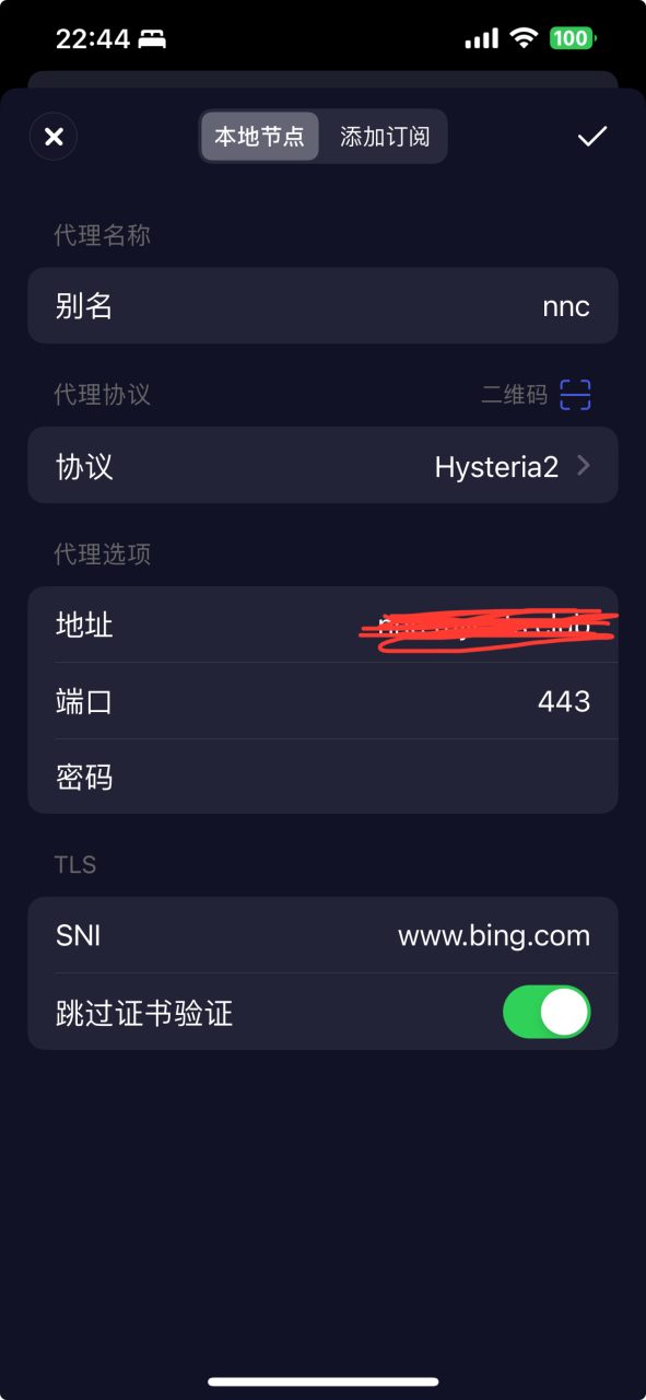 图片[1]-手动搭建 Hysteria2 协议用于Surge/Loon-整点猫咪